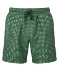 Green/Green*