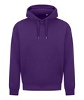 Purple*