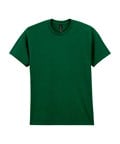 Fan Dark Green