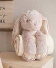 Rabbit and blanket