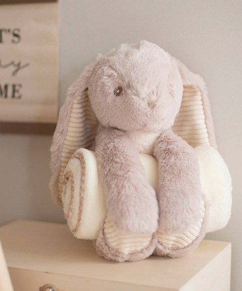 Rabbit and blanket