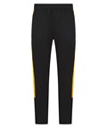 Black/Gold